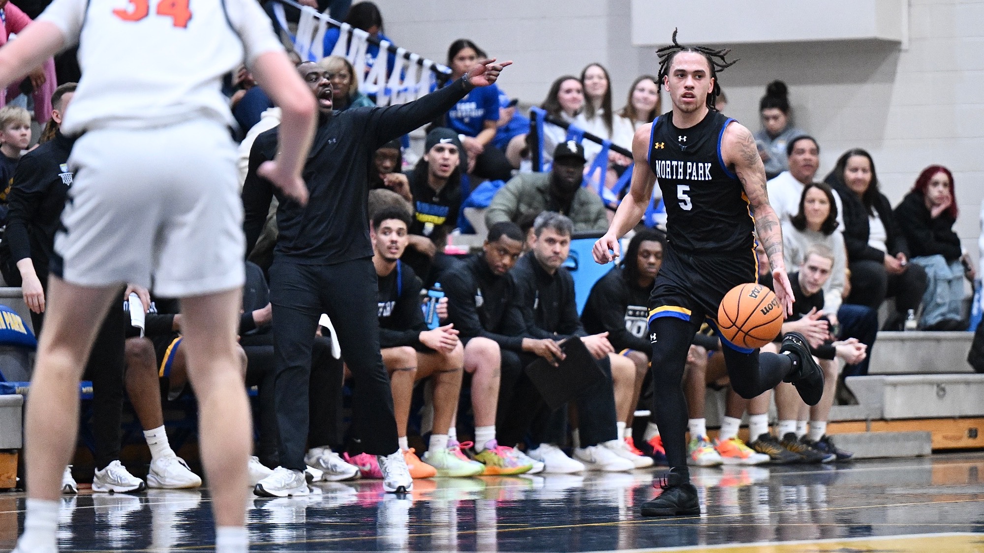 vanlanddribblehomewht26