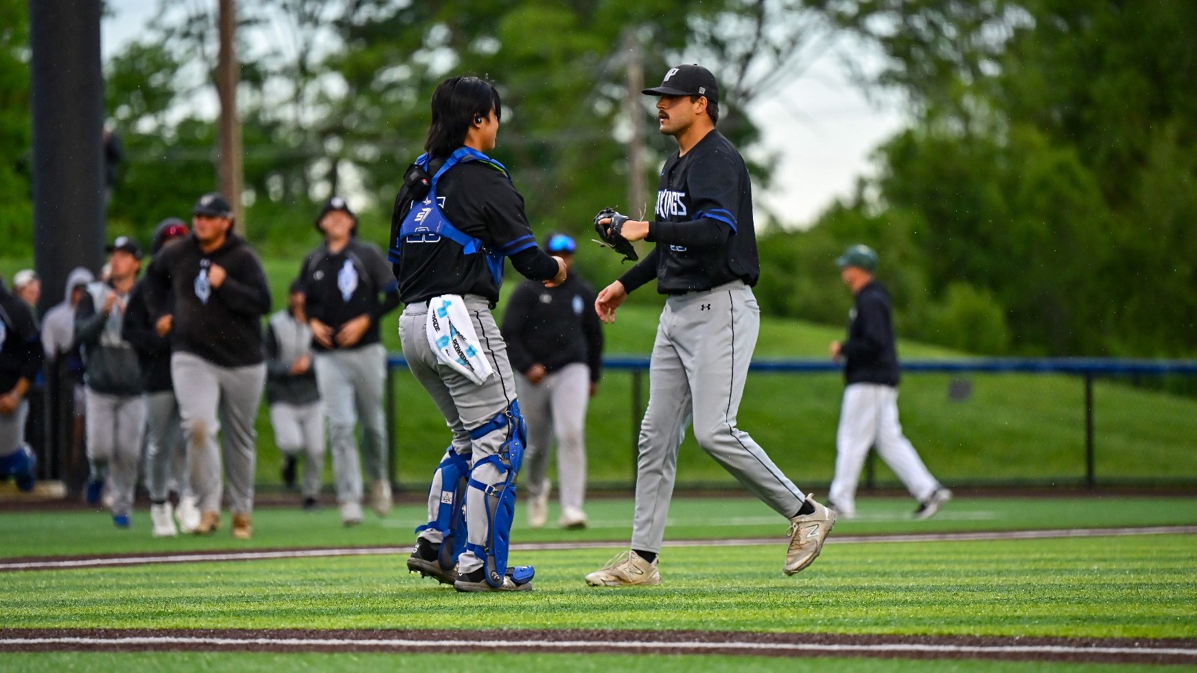 conditreyncellycciw226