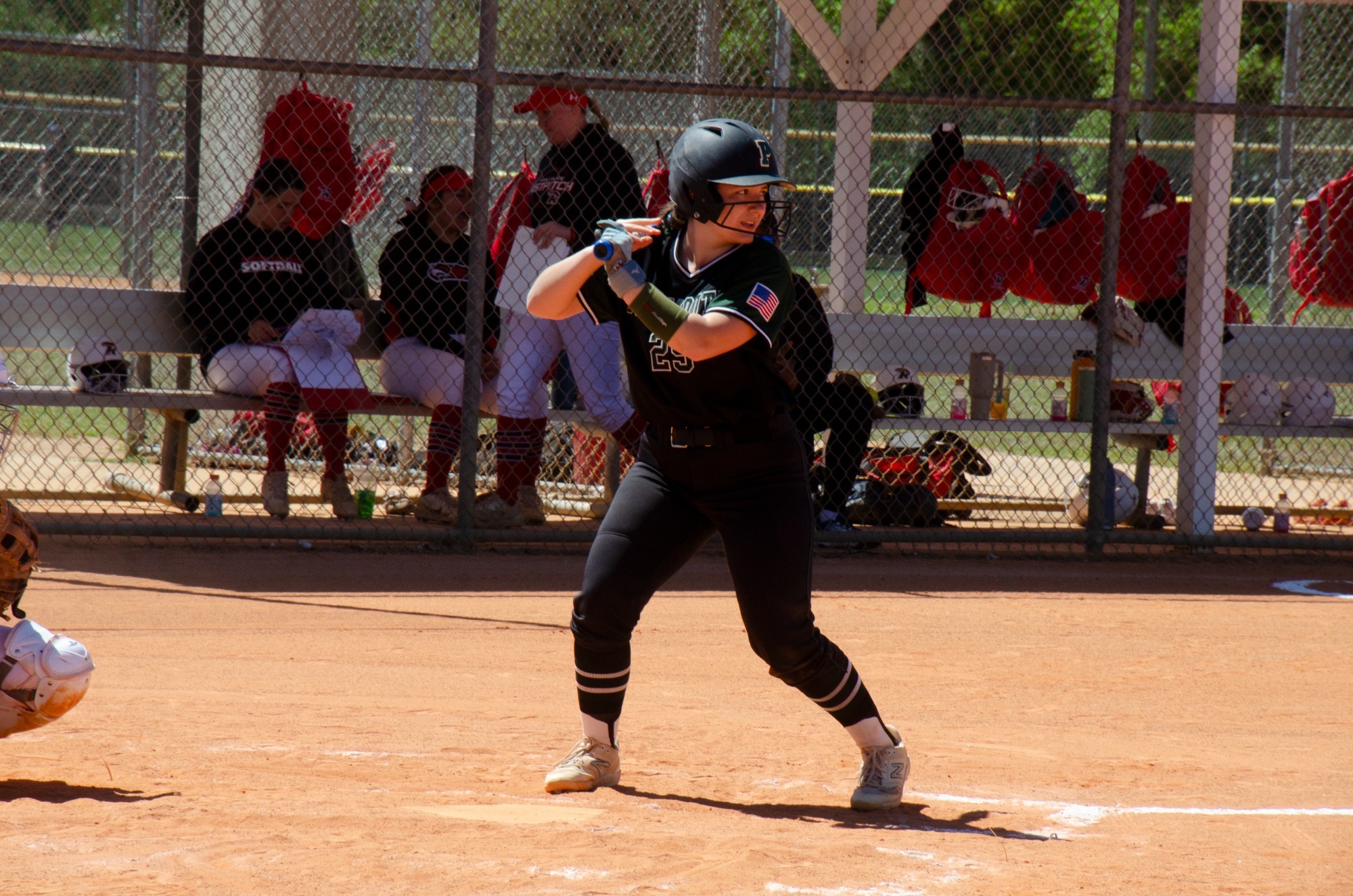 20260320 - Softball vs Plattsburgh, Worcester State