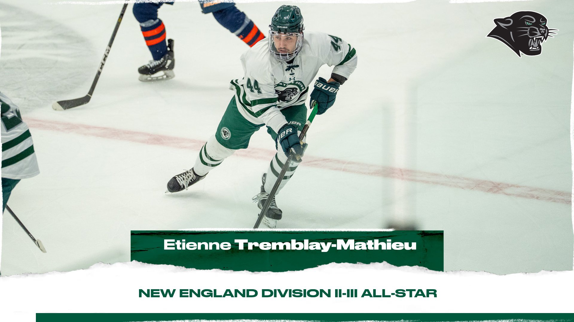 20260403 - Men's Hockey Tremblay-Mathieu NEHWA All-Star