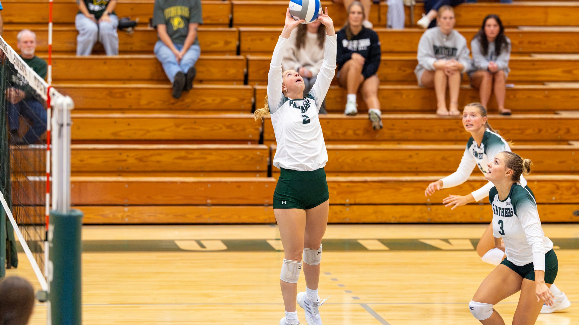 Kathryn Driend runs the Plymouth State volleyball offense in recent action
