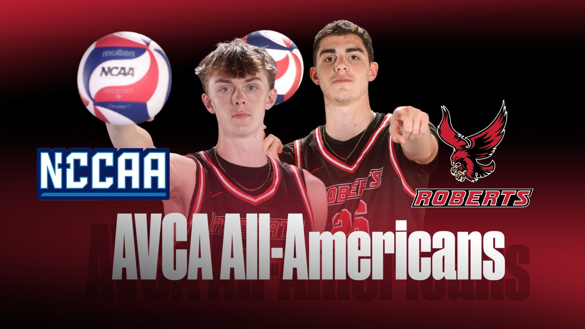 AVCA All-Americans (representing NCCAA schools)
