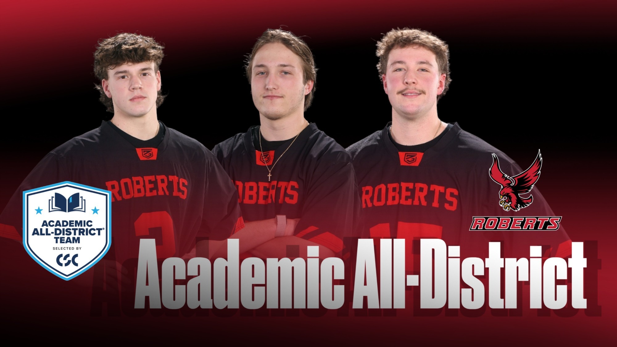 Academic All-District Men's Lax
