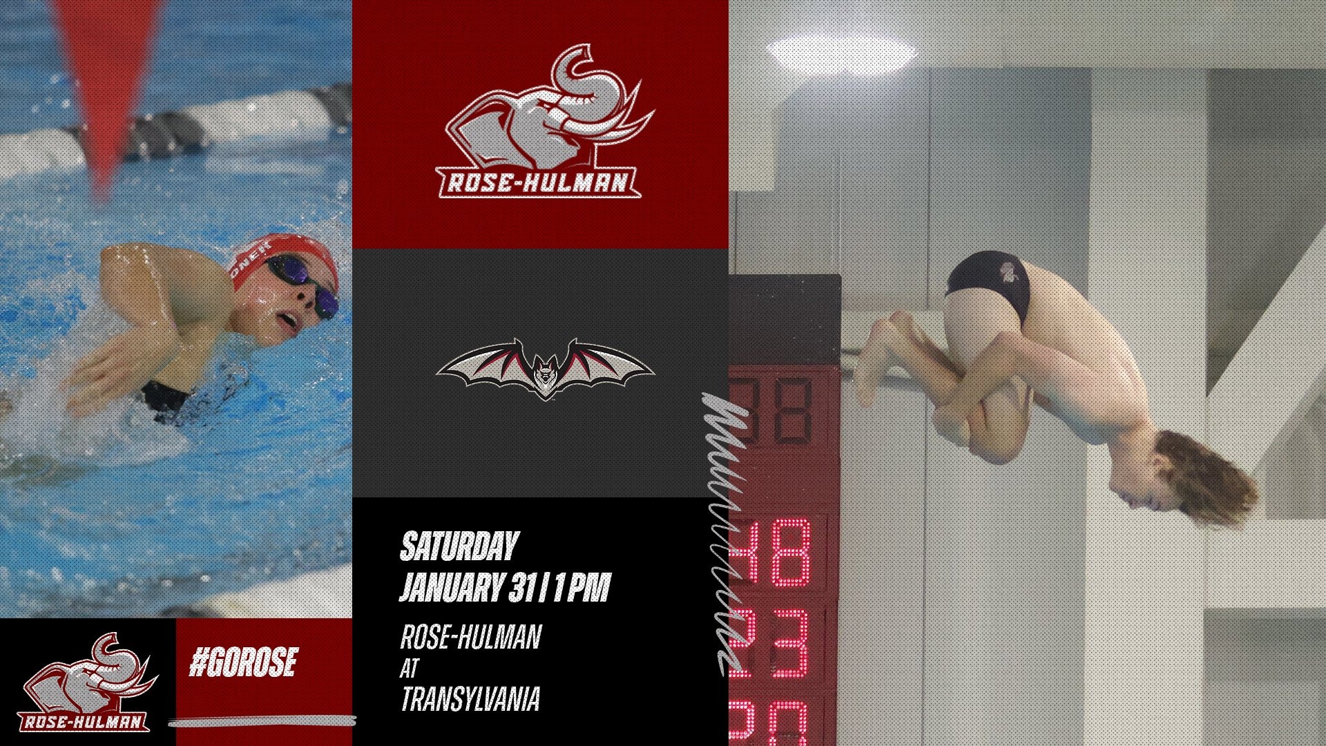 Men and Women's Swim vs. Transylvania 2025-26