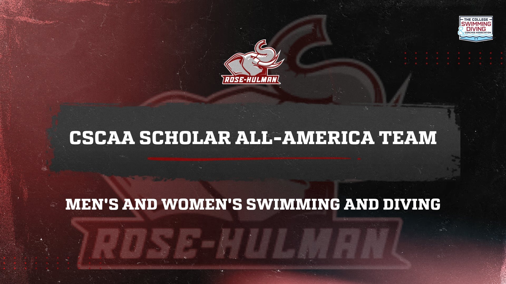 Swim Scholar All-America Team 2026