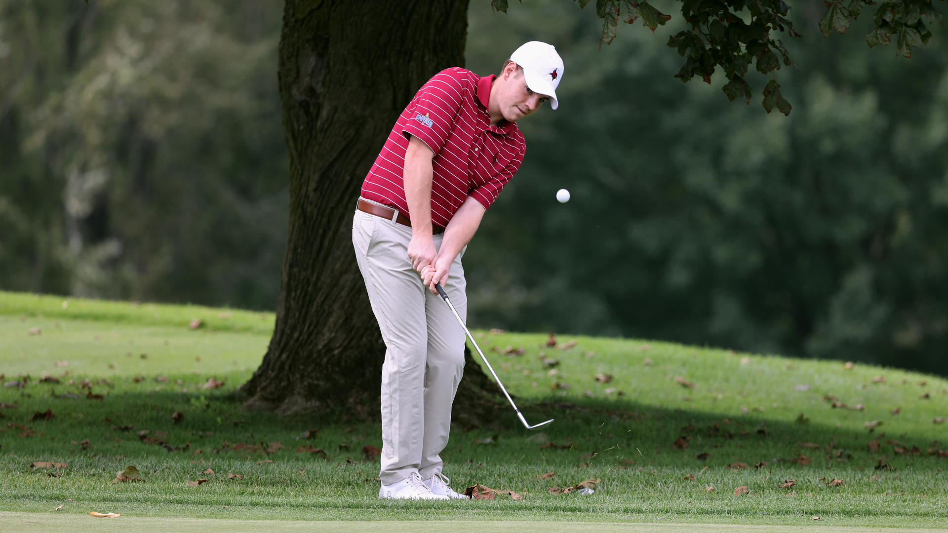 Mens Golf Compete In Royal Lakes Invitational St. John Fisher
