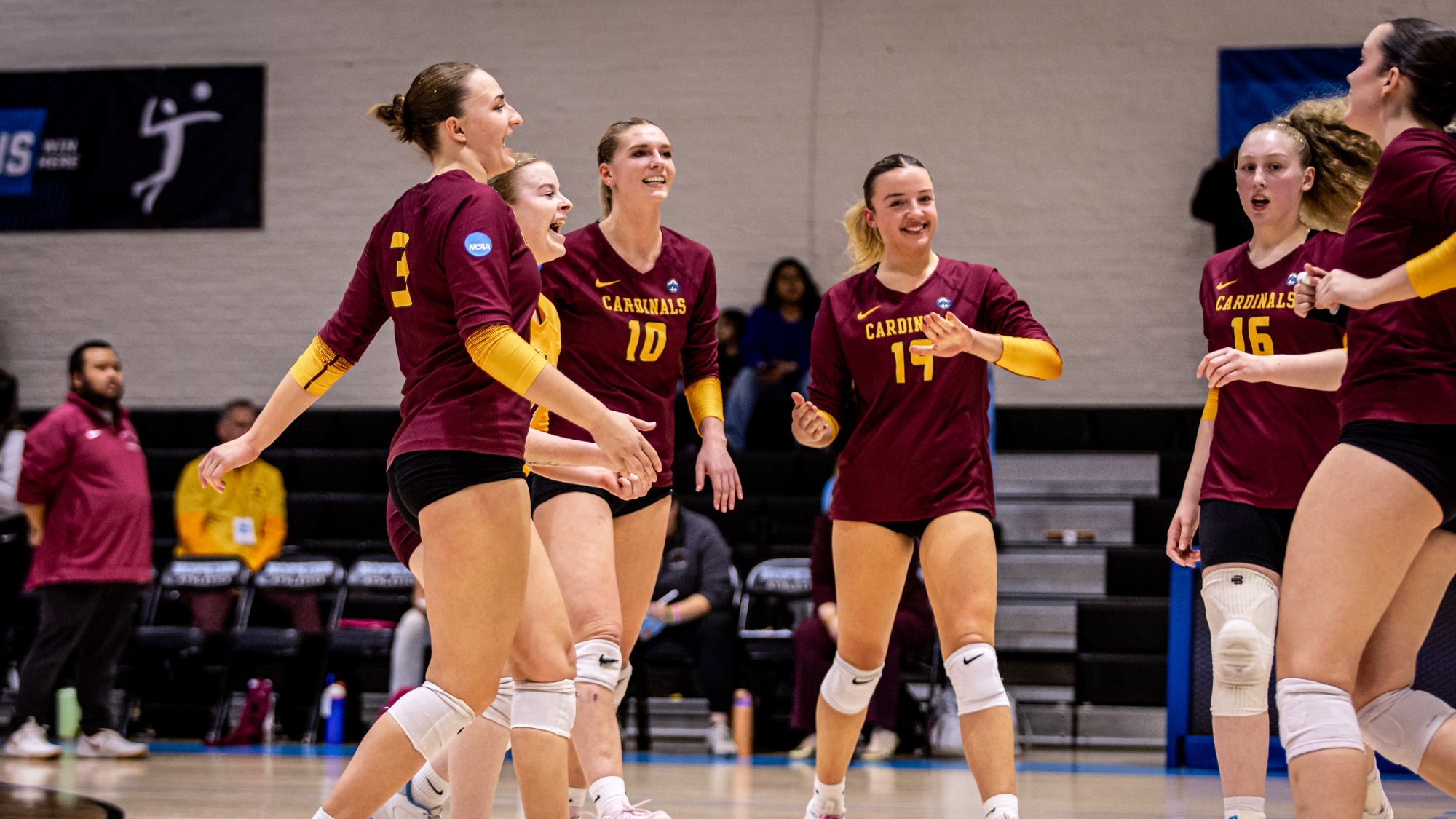 WVB in the NCAA Tourney 