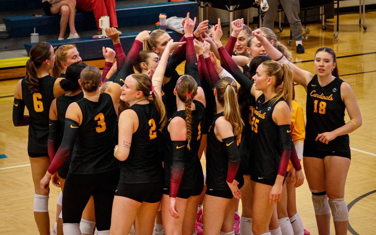 WVB Team