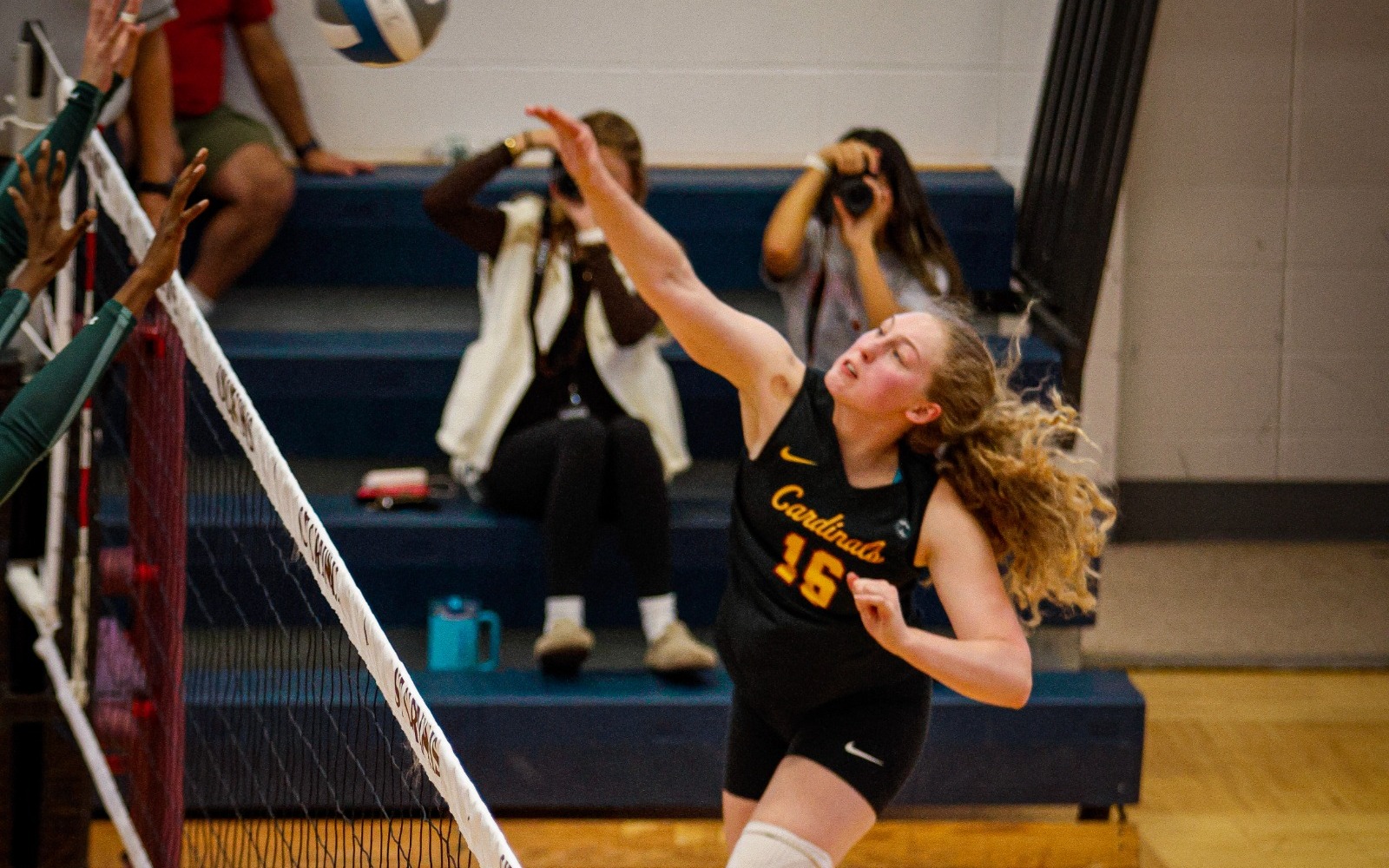 WVB Gutman