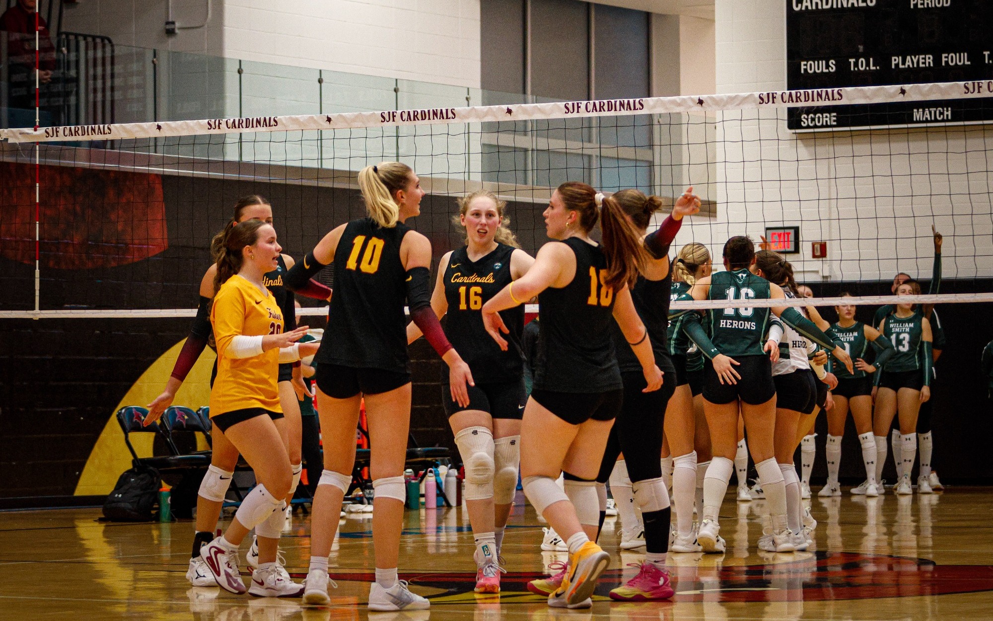 WVB Team