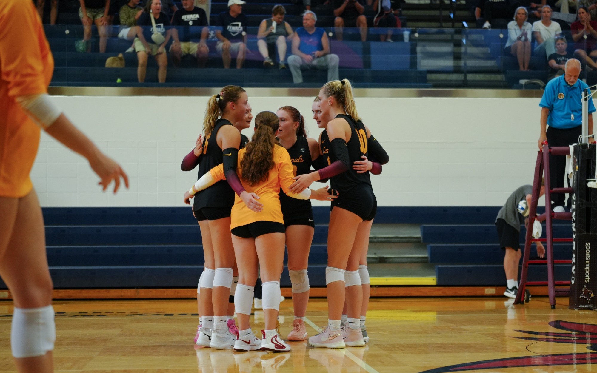 WVB Team