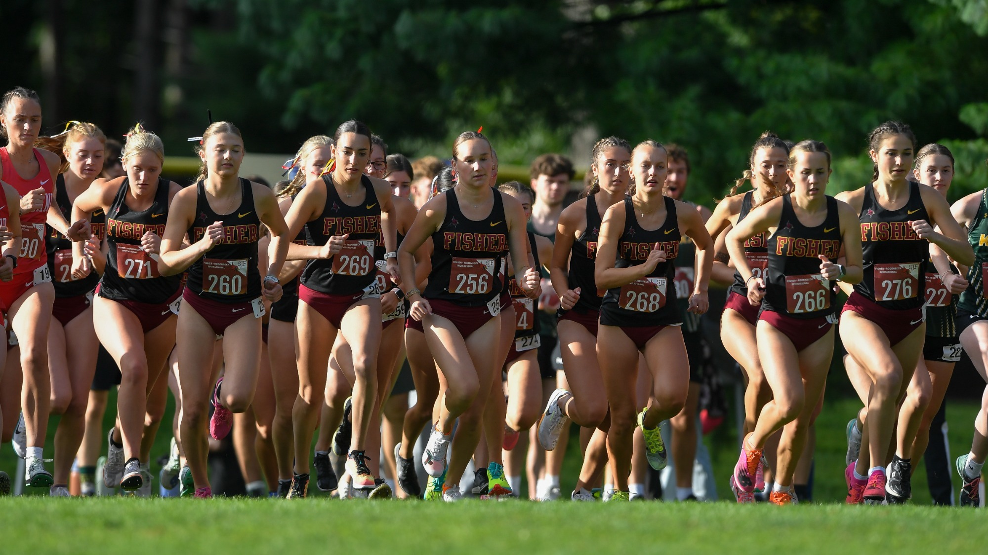 WXC Group