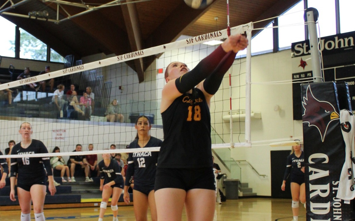WVB Keogh