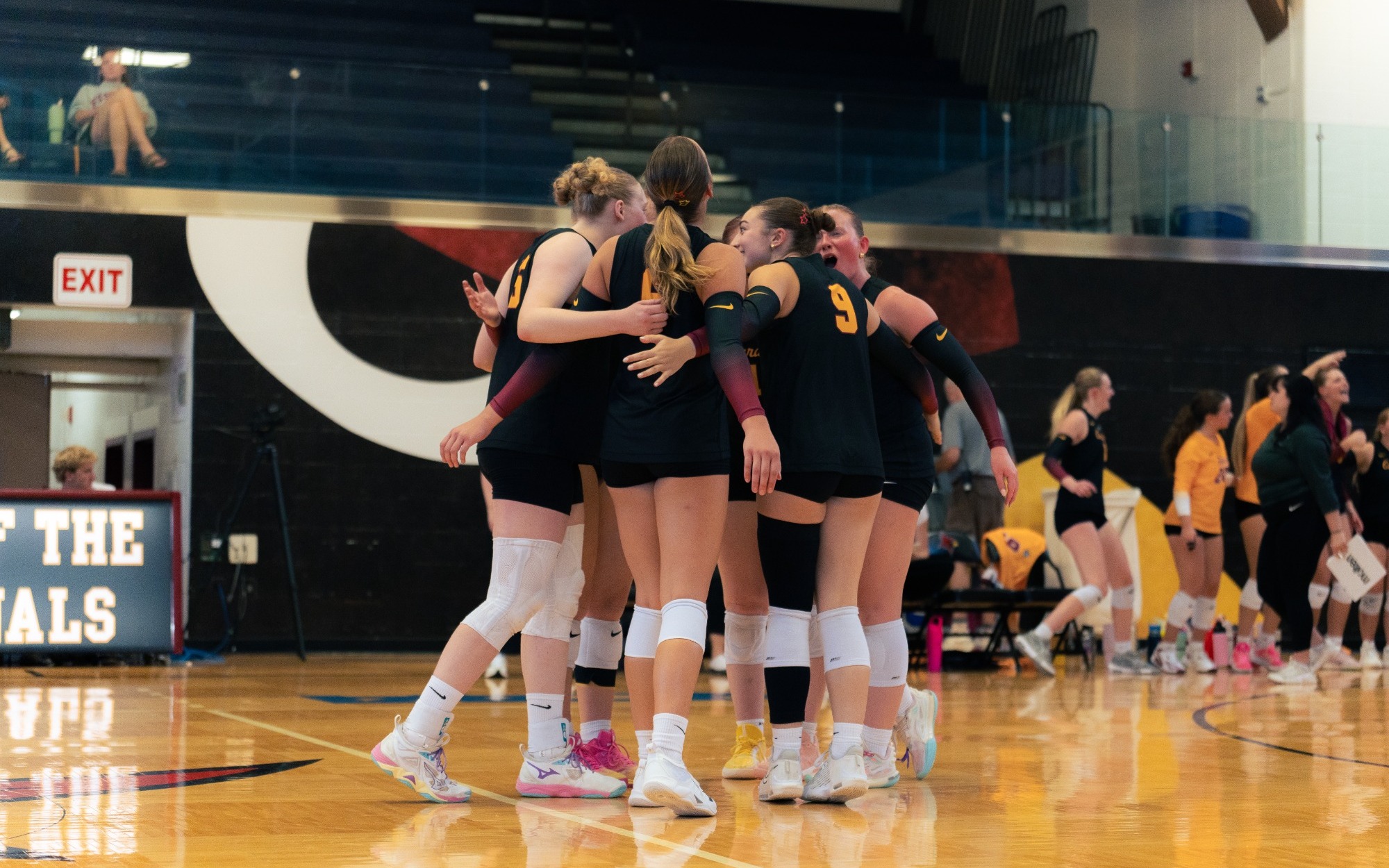 WVB Team