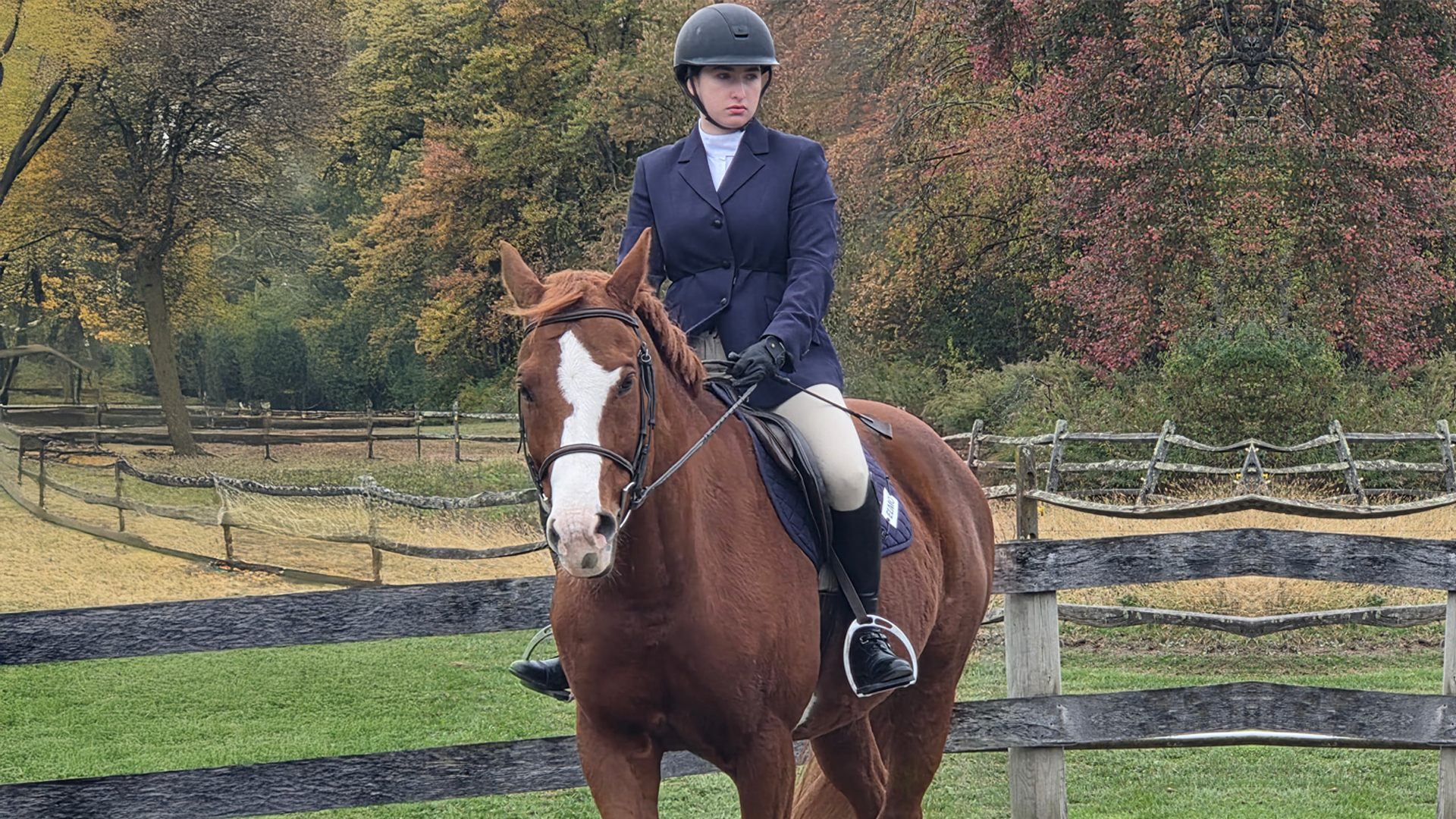 Talia Rosenthal EQ 2025