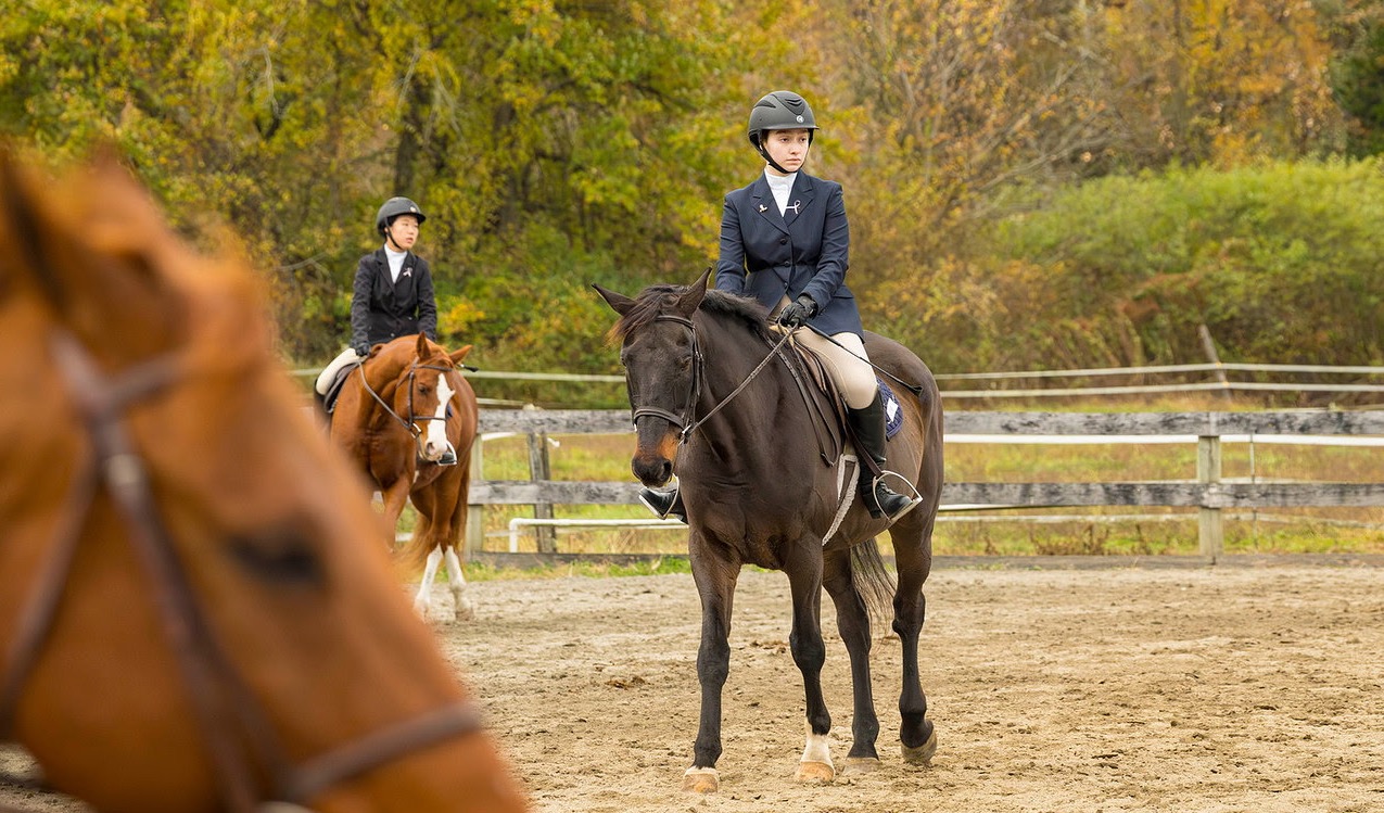 Rose Stabile EQ 2025