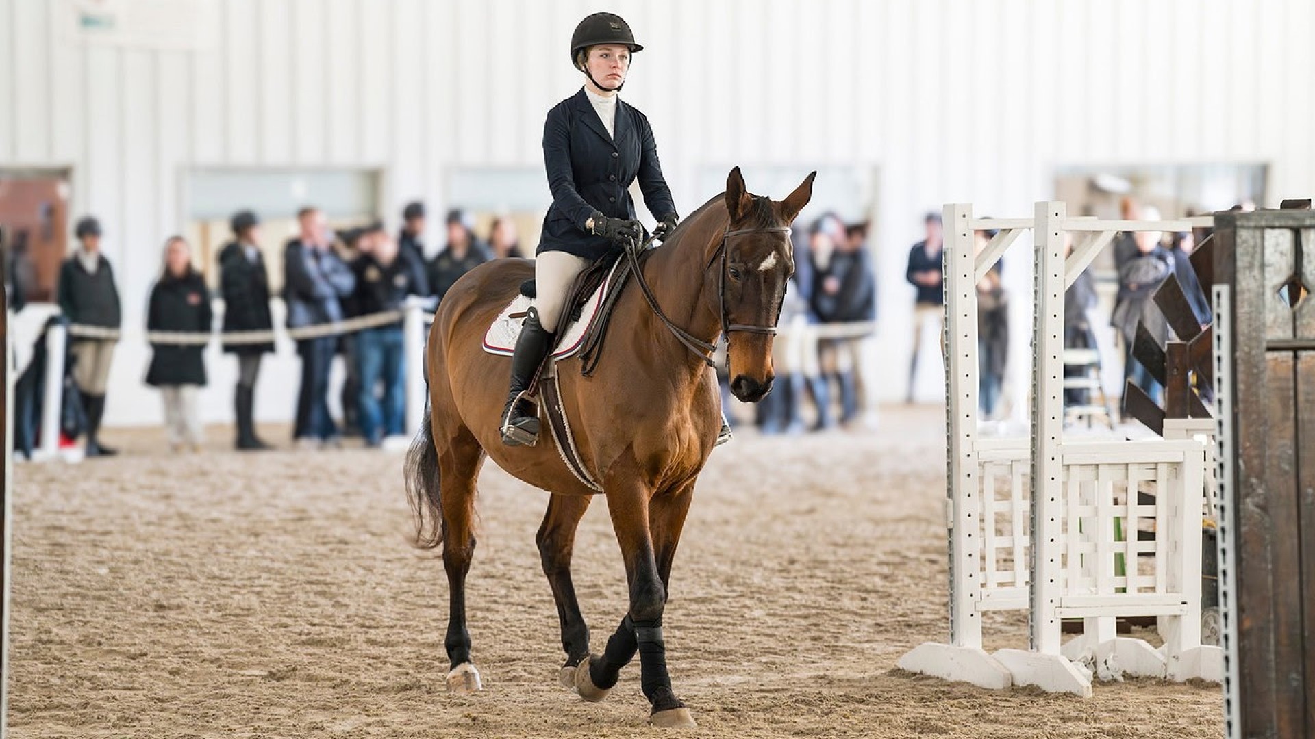 Maeve Lamson EQ 2025-26