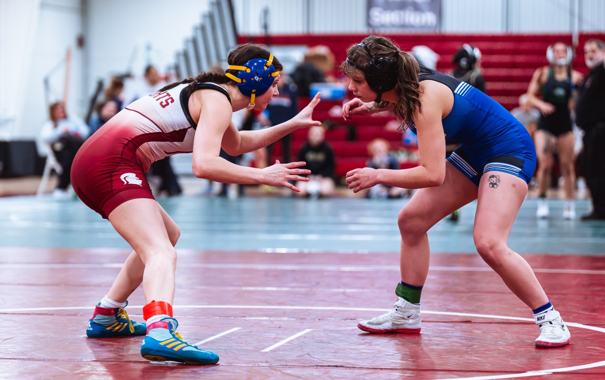 WWREST 2024 for 2025 Actino Shot Story