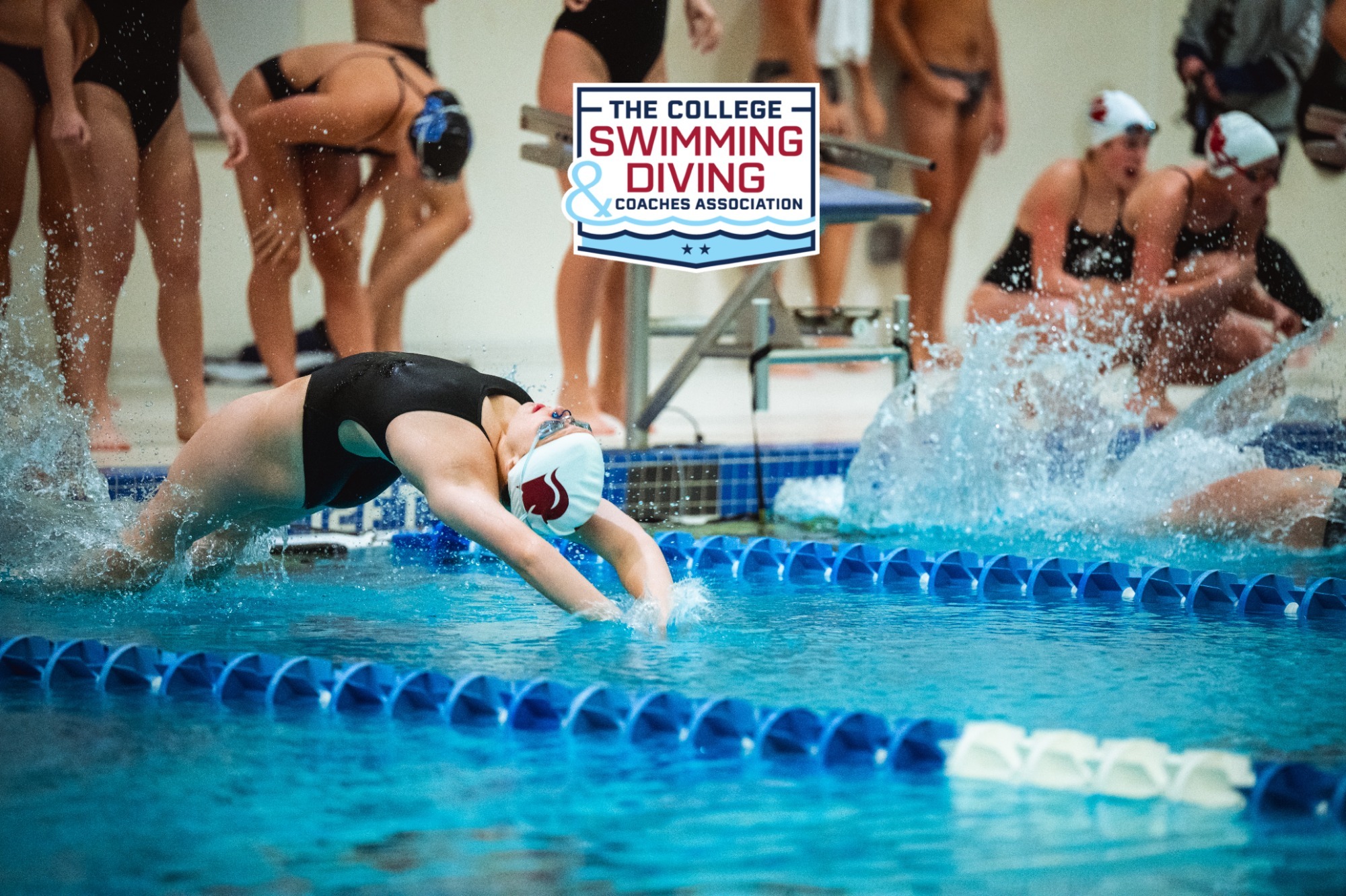 CSCAA Swim Award