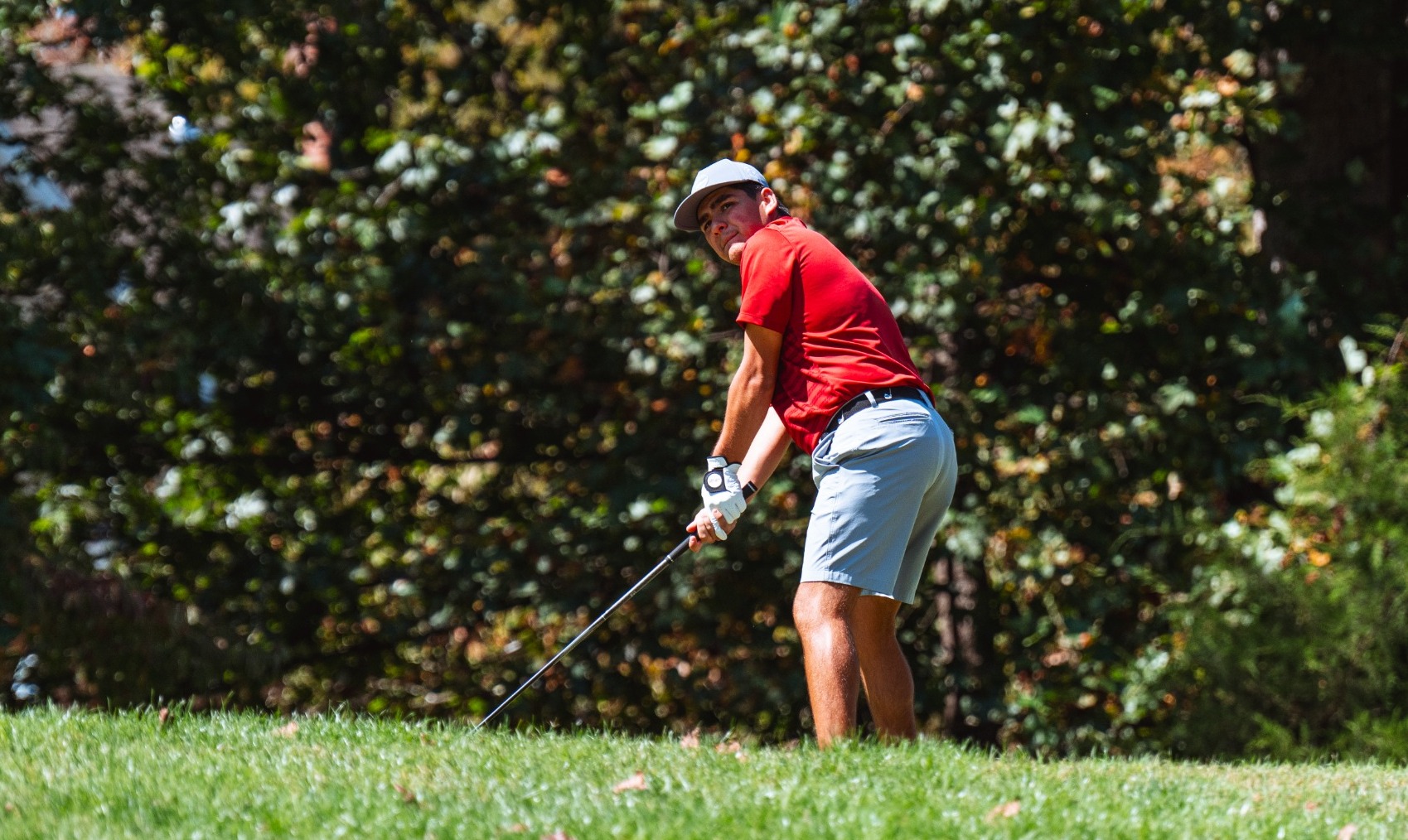 MGOLF 2025-2026 All-America Scholar Price