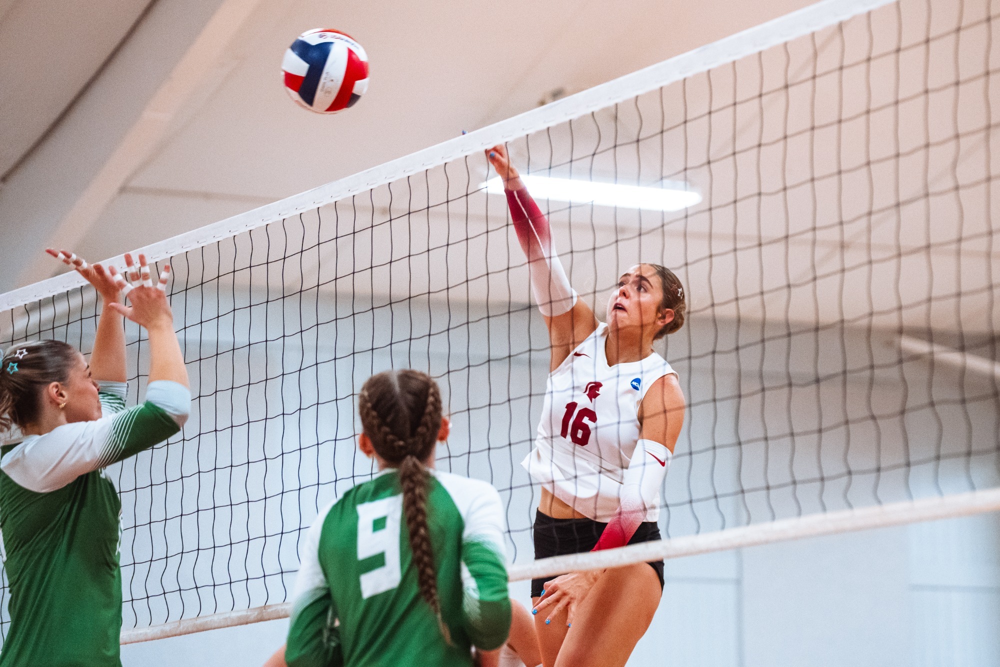 wvb