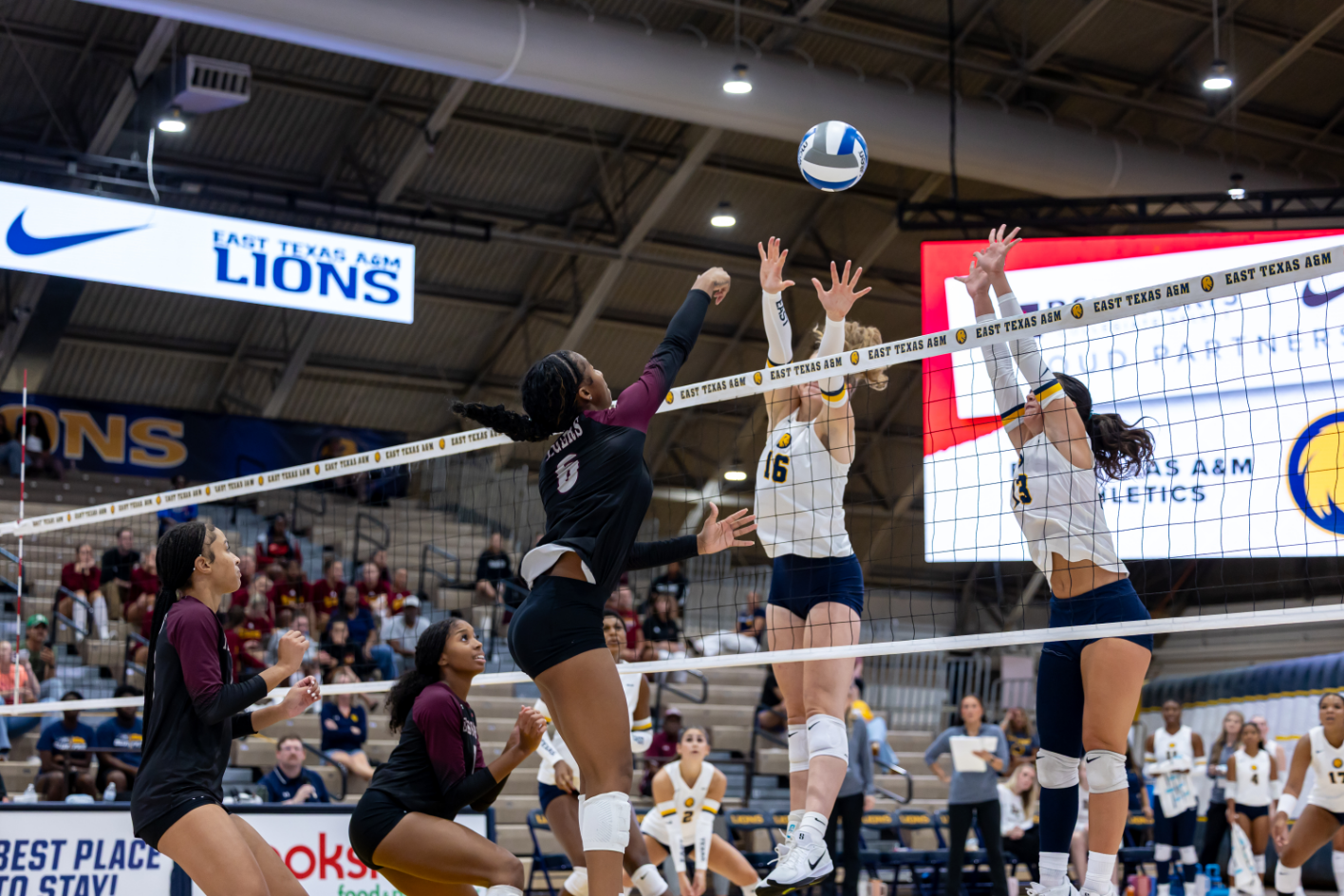 FelderElayna_VB vs TX Southern op 082826 -1.jpg