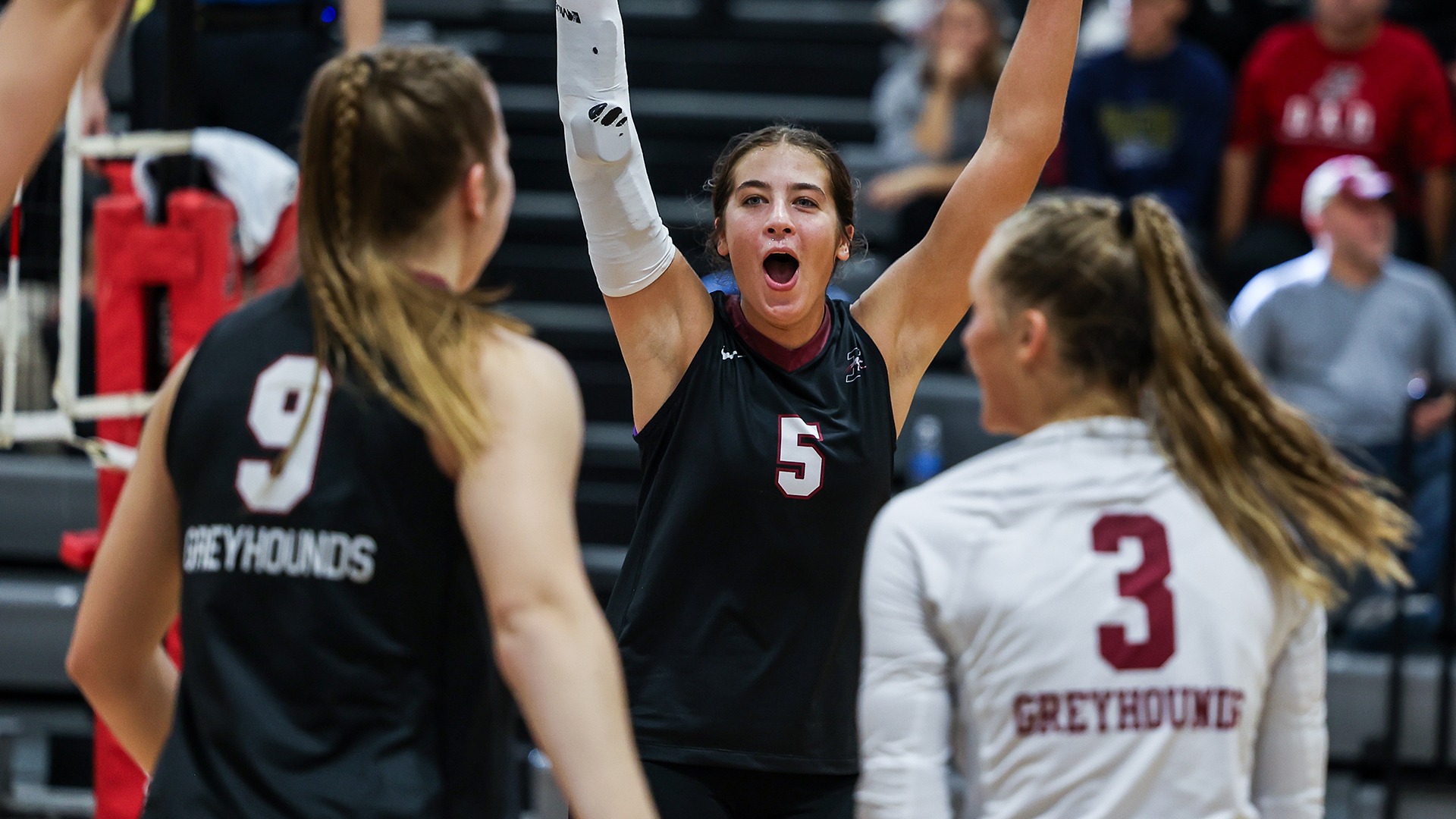 Greyhounds Cap Regular Season with Win UIndy Athletics