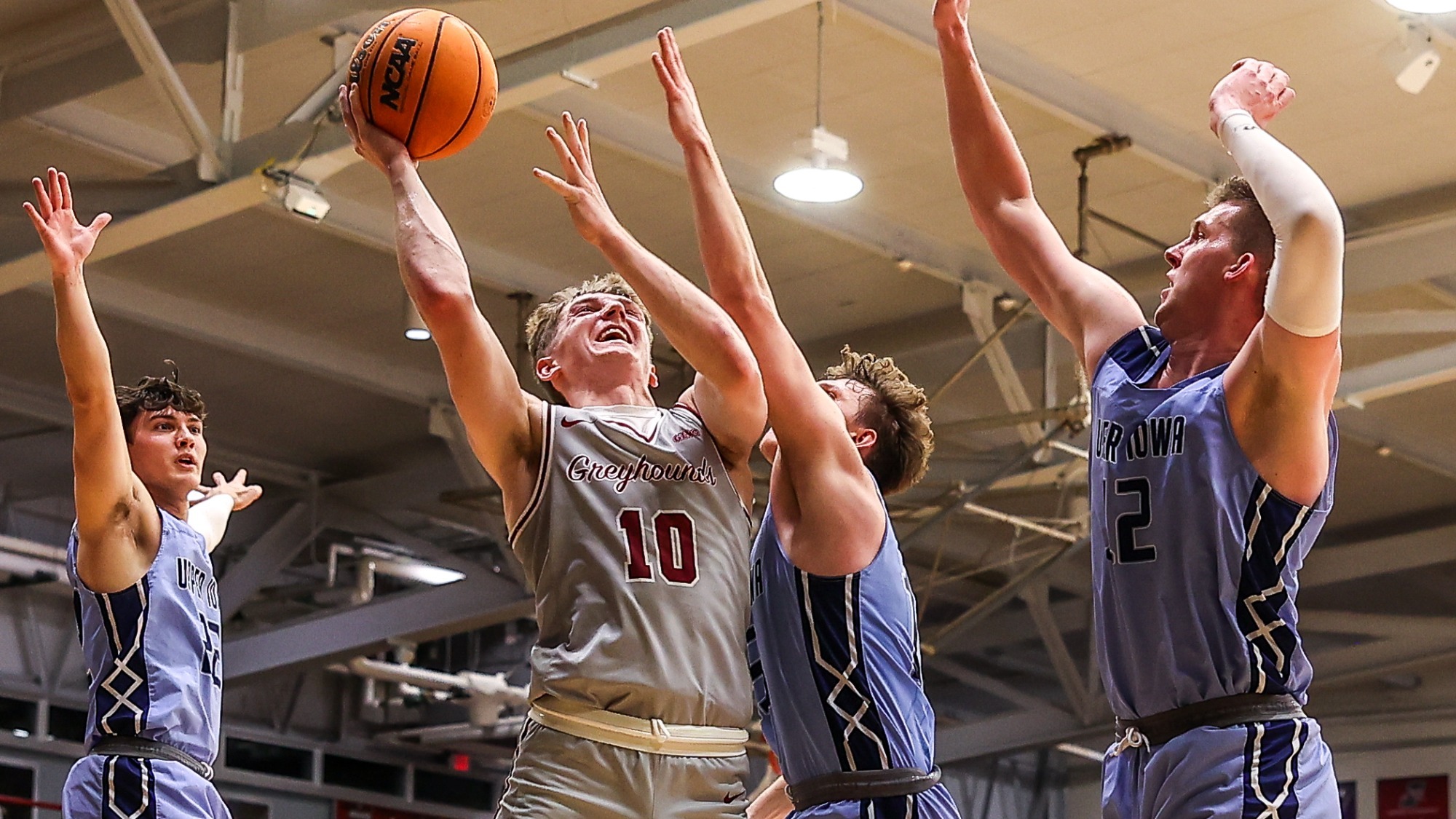 Greyhounds Vibe with Crowd, Down Peacocks in Fun Atmosphere UIndy