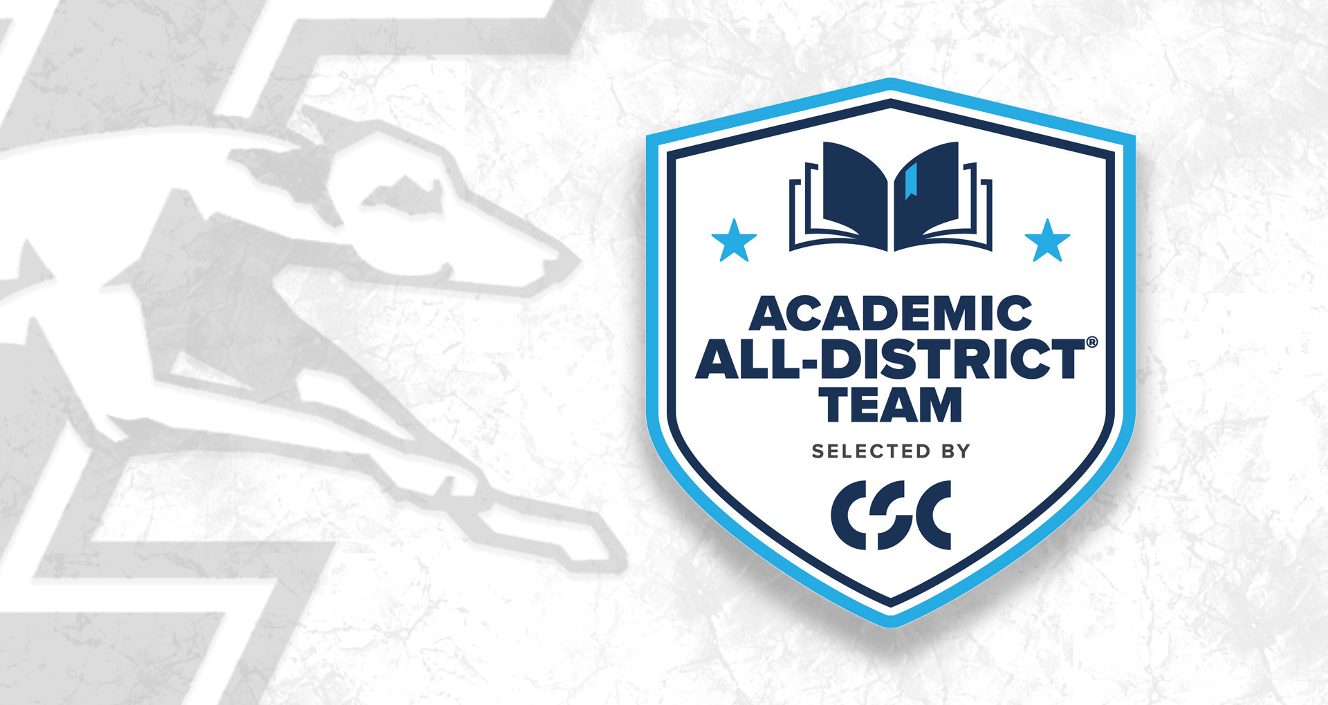  CSC Academic All-District Team logo