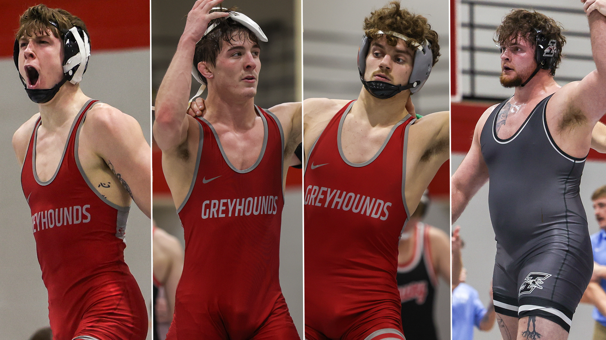 Cale, Nathan, Gavin and Aidan Wrestling