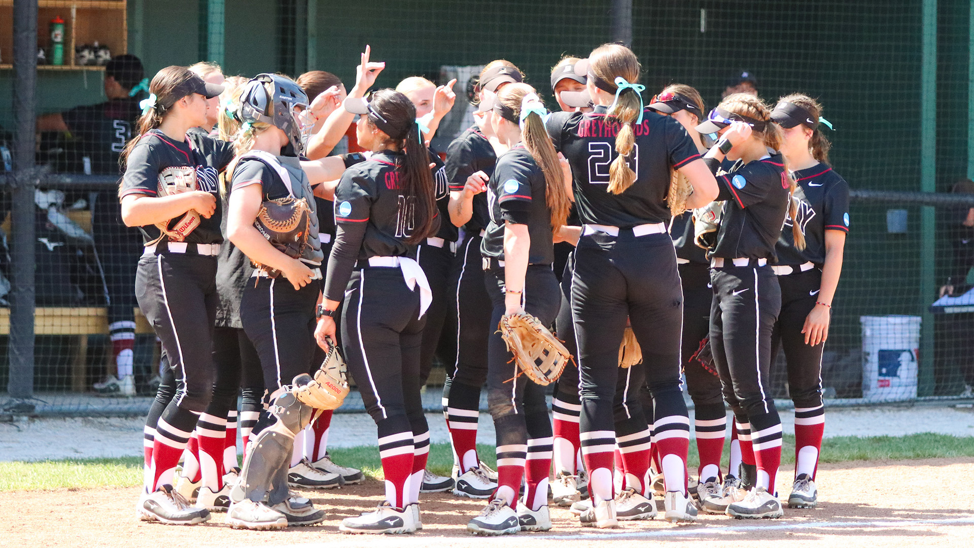 The UIndy softball team in a huddle in front of the dugout.