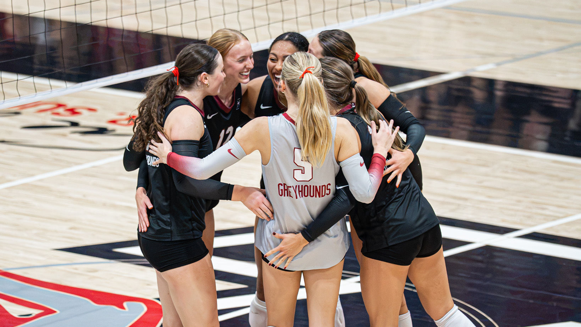 Volleyball celebration