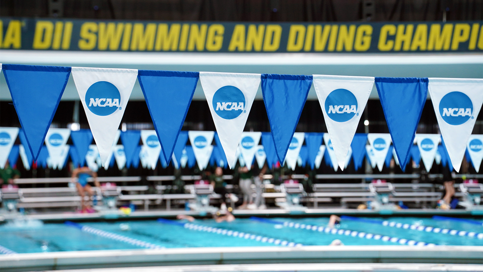 NCAA swim flags