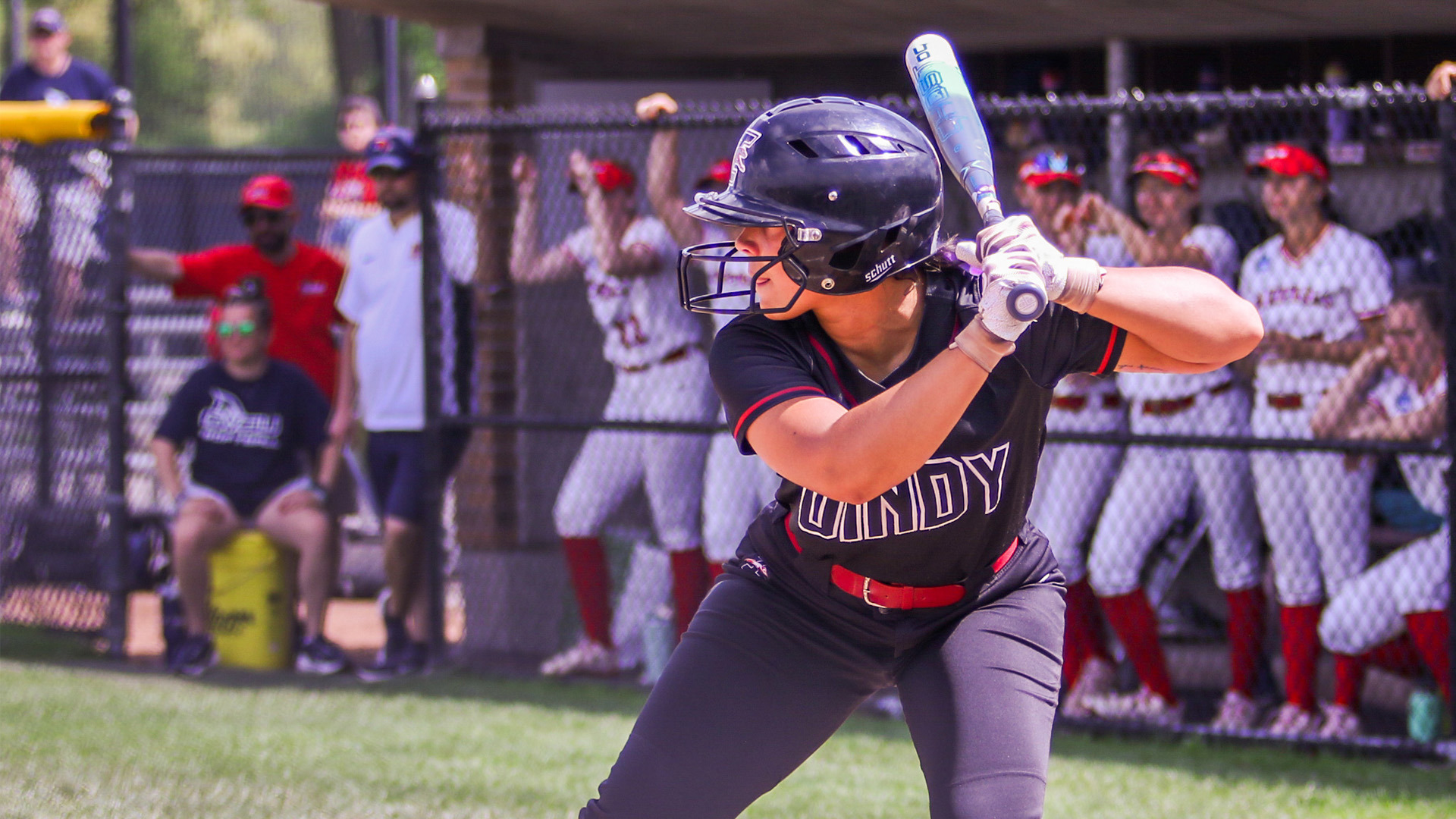 Cara Cooper in the batter's box.