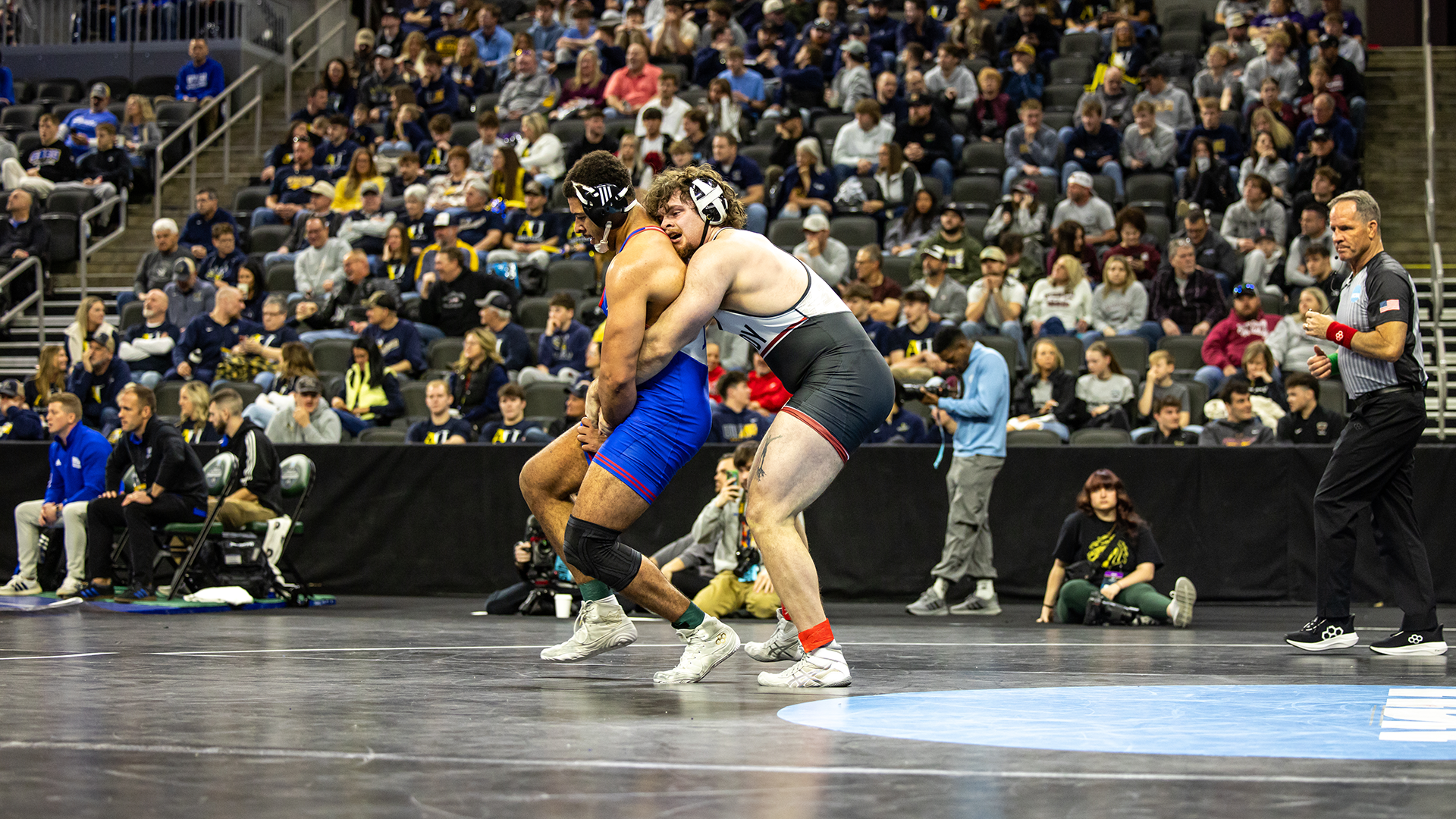 Cale Gray at Nationals