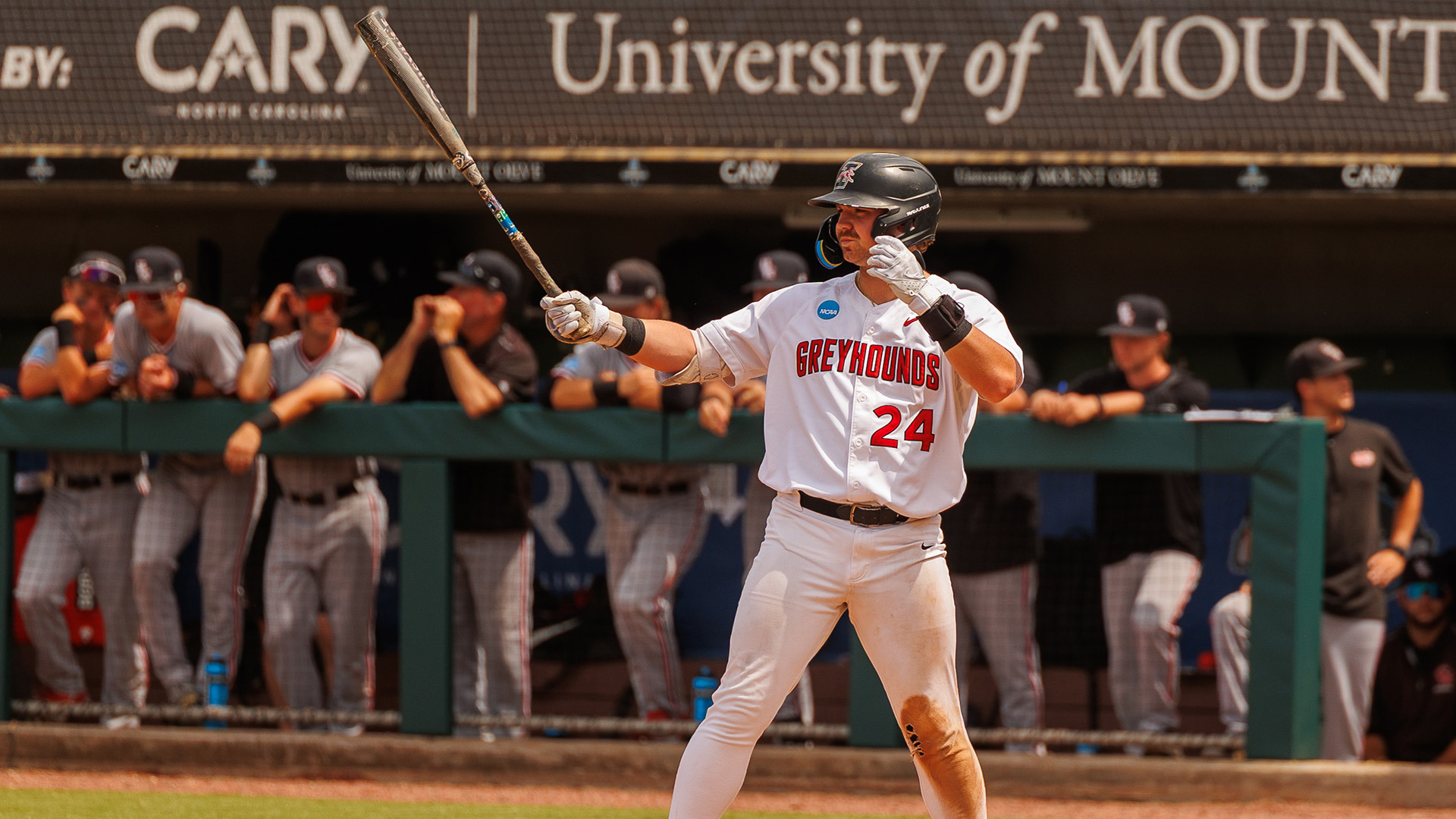 Austin Bode in the batter's box at the 2026 NCAA Division II World Series.