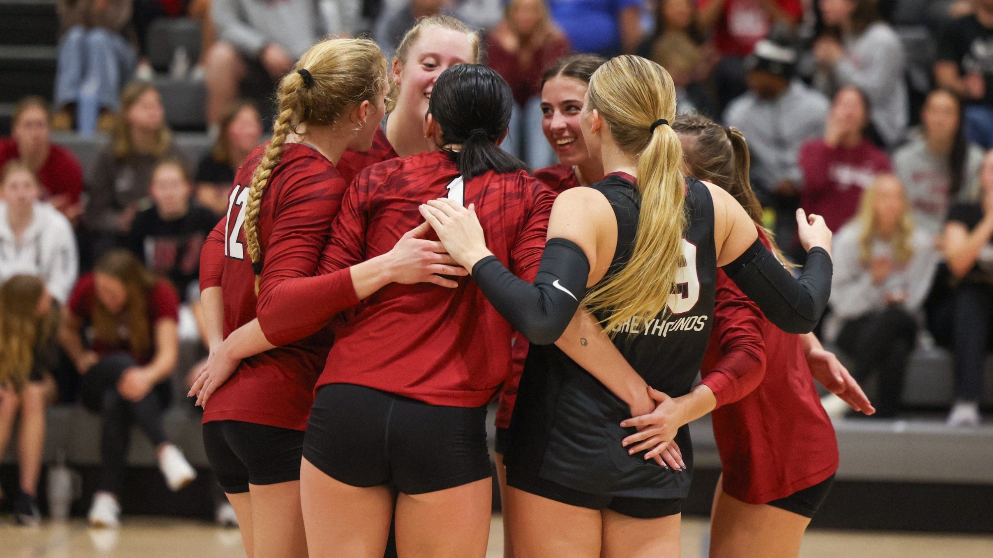 Volleyball team huddle