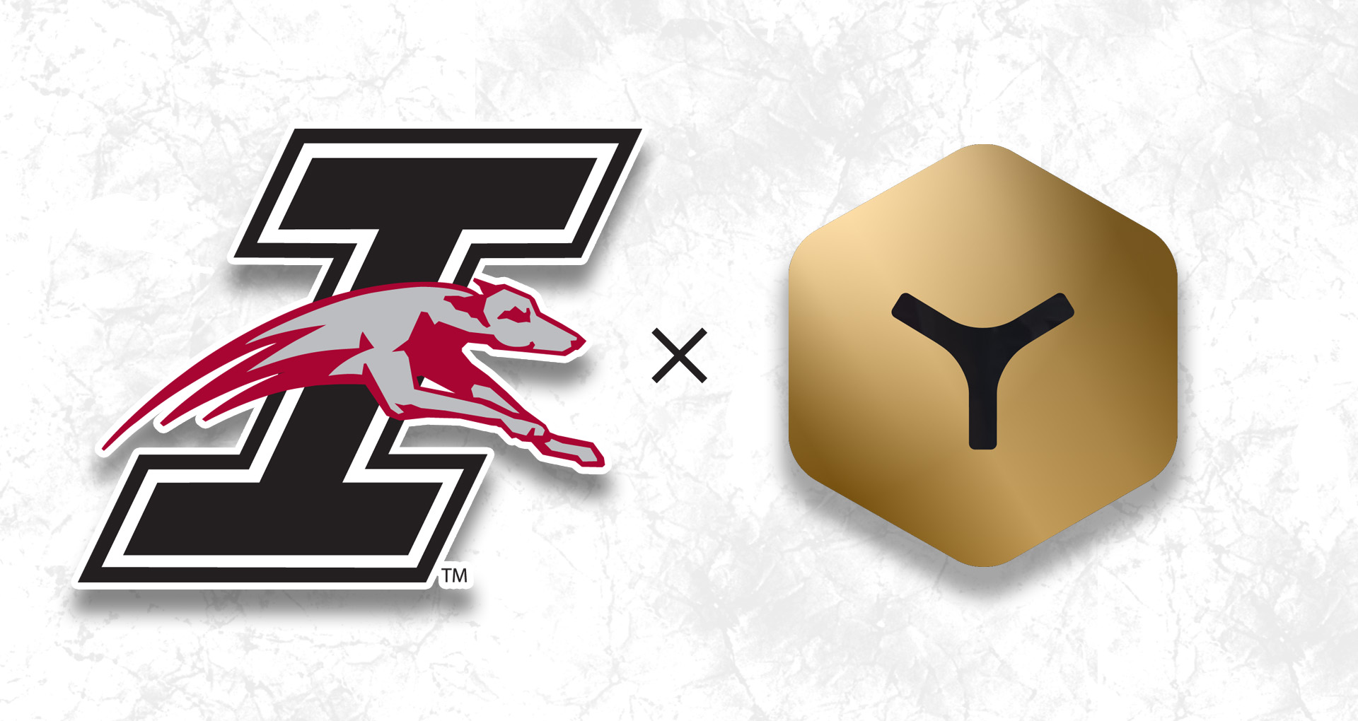 The UIndy Athletics logo next to the Team Works logo