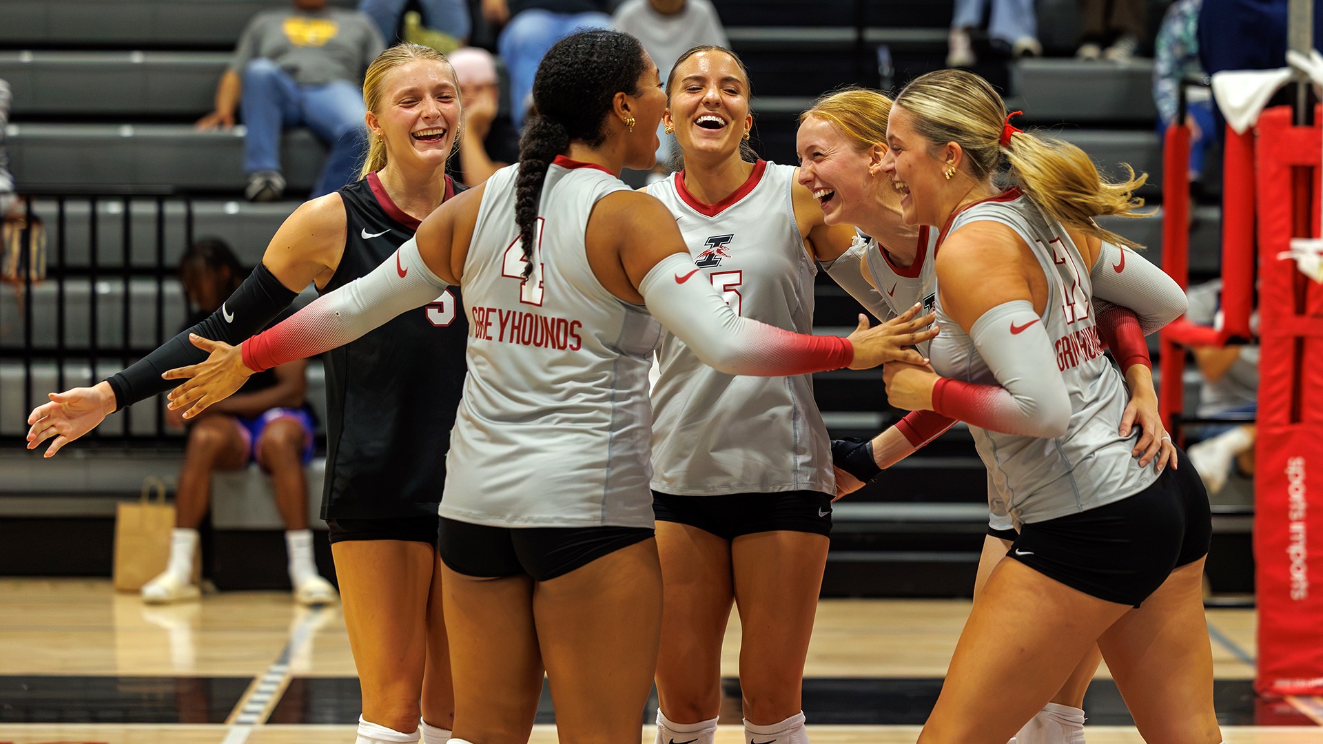 Volleyball celebration on the court