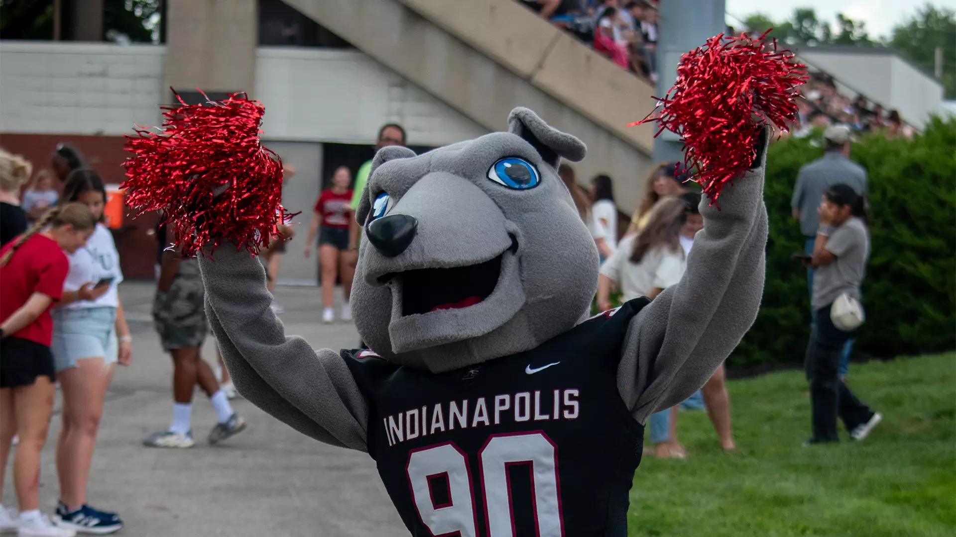 Ace, the UIndy Athletics mascot, sjhakinh pom-poms at a Greyhound football game.