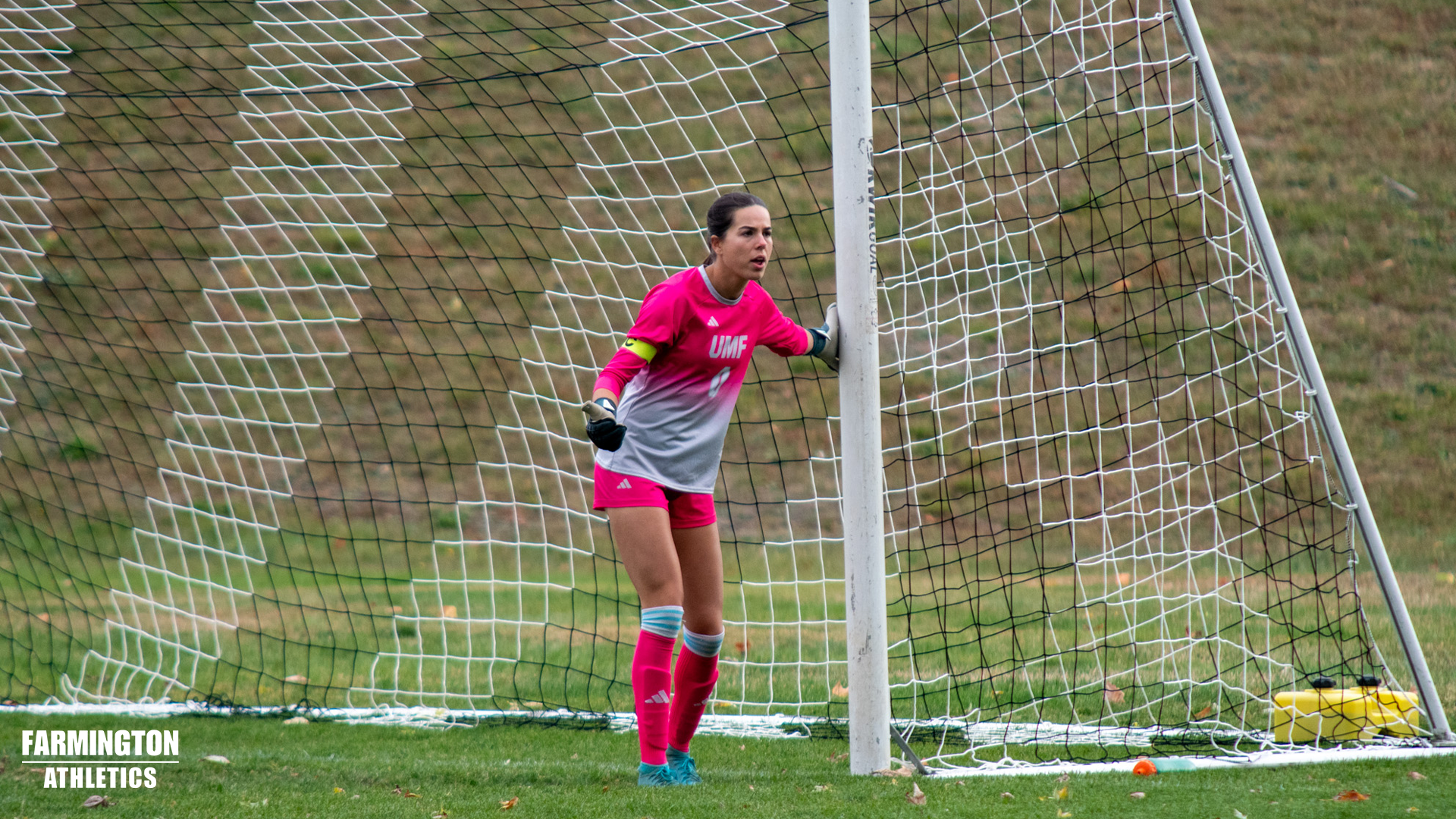 WSOC 11/1/25