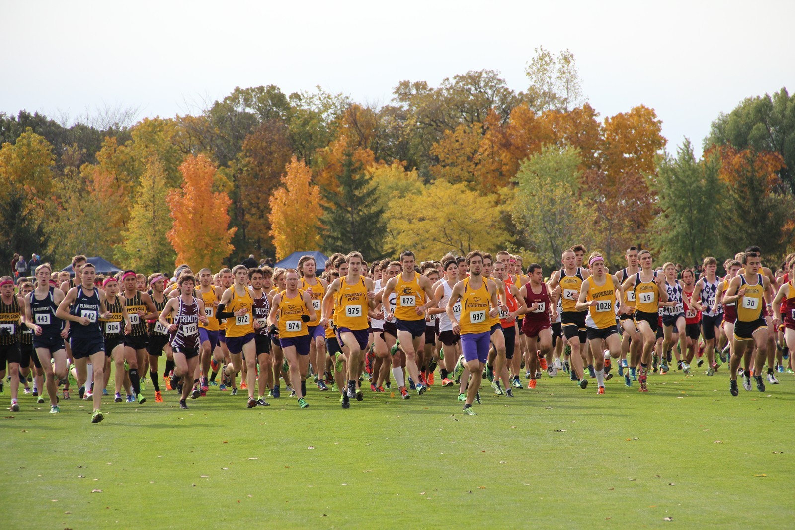MXC_TEAM_14