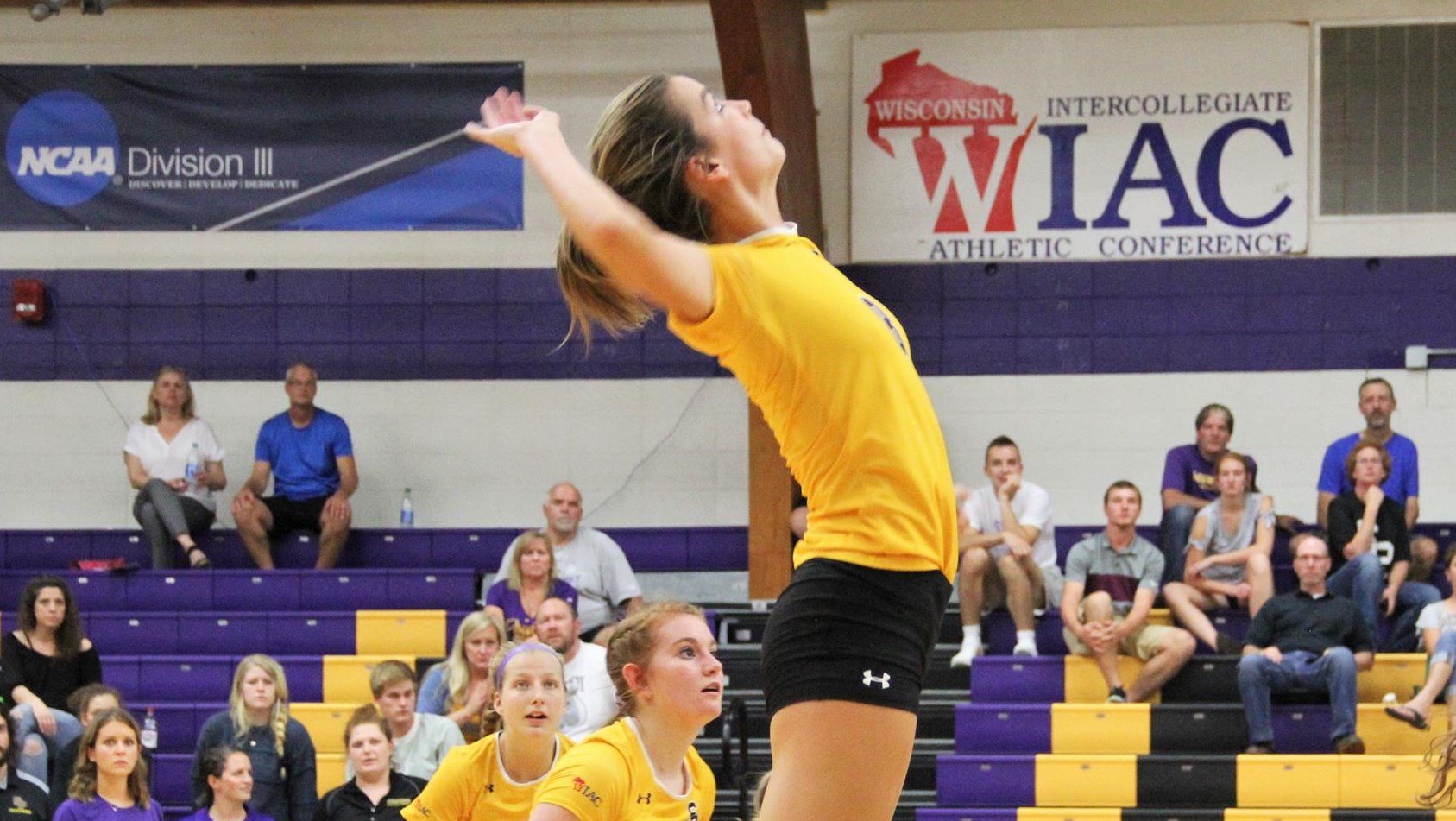 UWSP Volleyball Takes Care of North Park in Straight Sets University