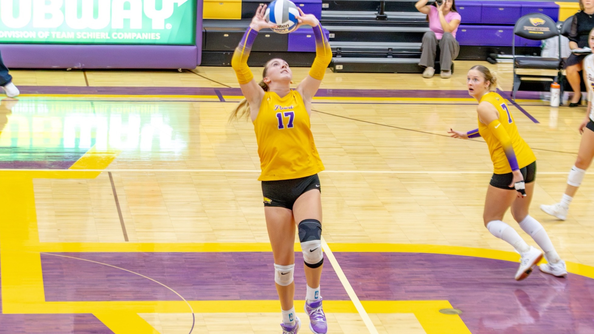 Hannah Strege