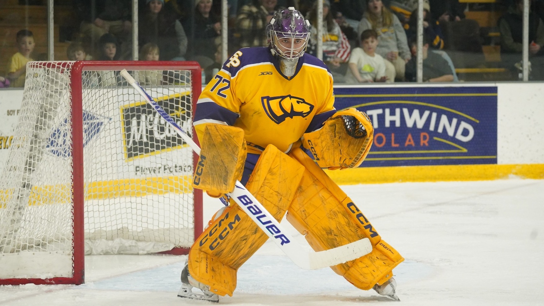 Alex Proctor