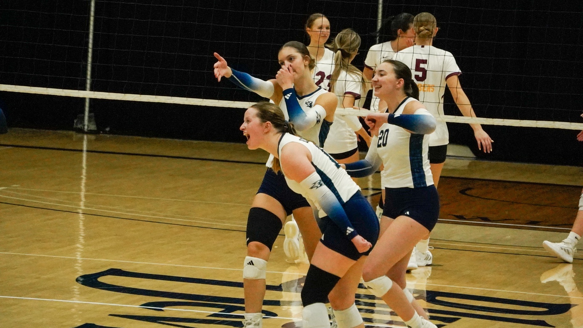 Fallon celly