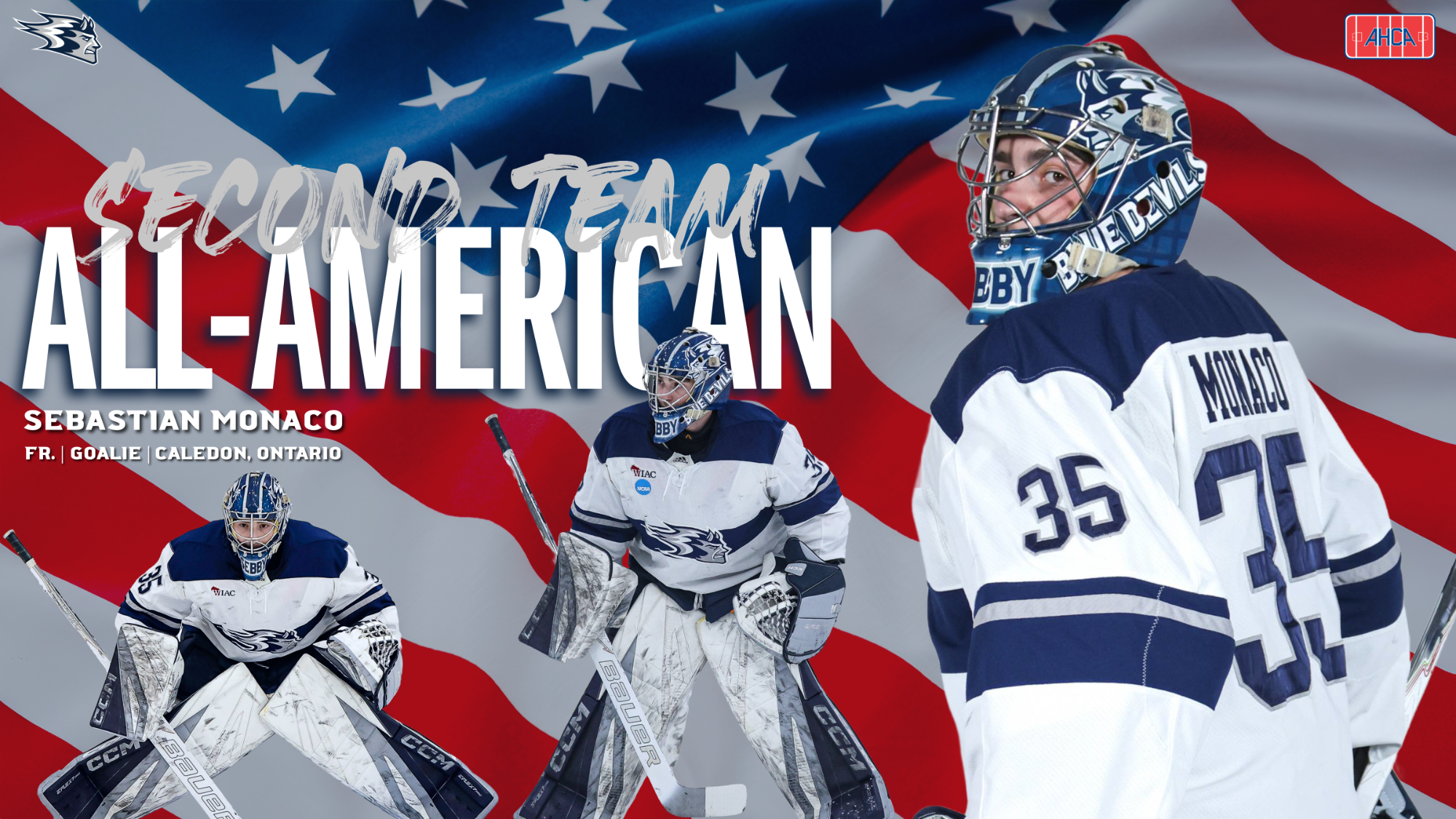 Sebby all american graphic