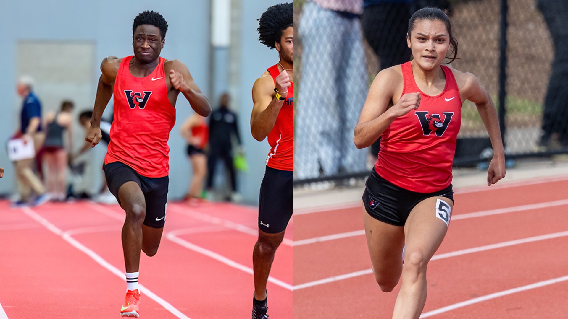 Steve Paul, Juliette Sullivan