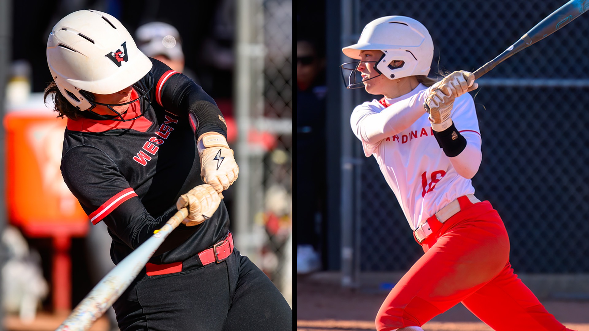 2026 All-NESCAC Softball