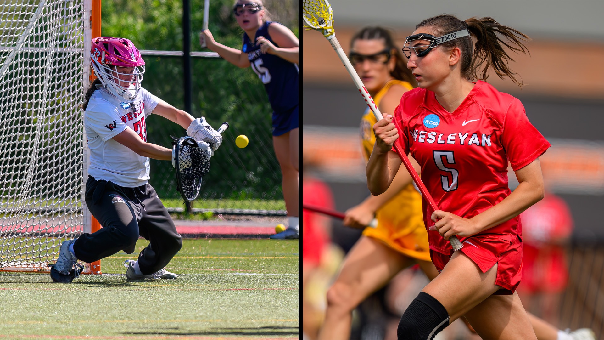 IWLCA POY